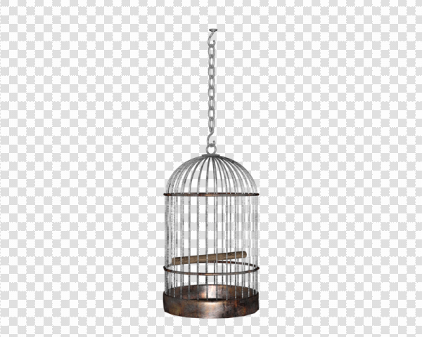 Detail Transparent Cage Nomer 14