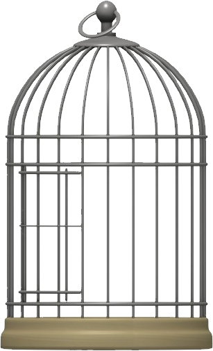 Detail Transparent Cage Nomer 15