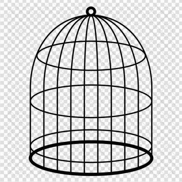 Detail Transparent Cage Nomer 17