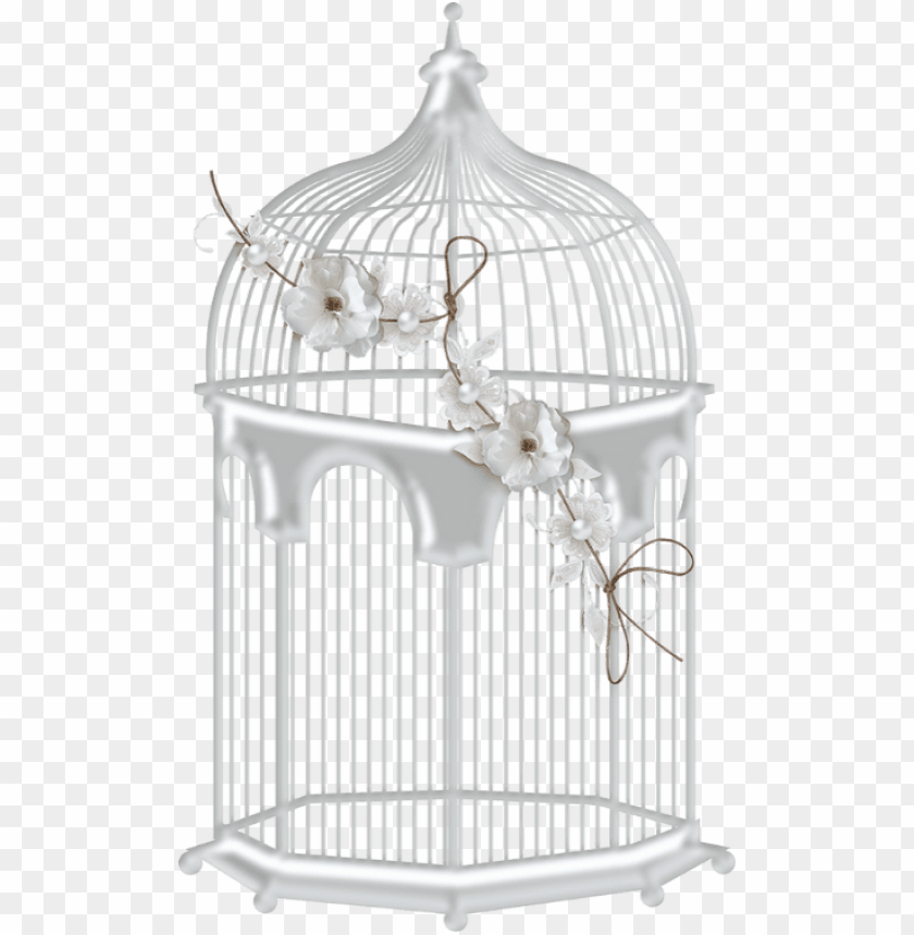 Detail Transparent Cage Nomer 19