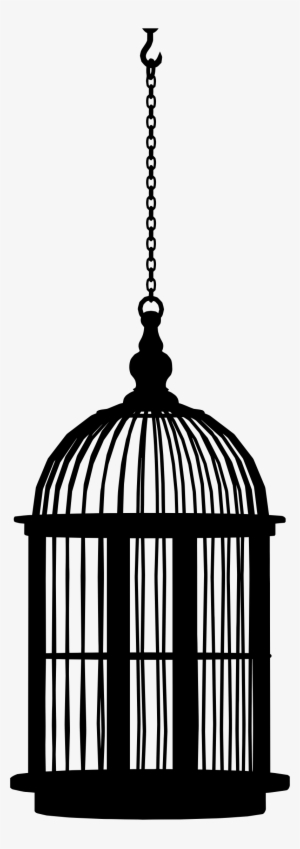 Detail Transparent Cage Nomer 42