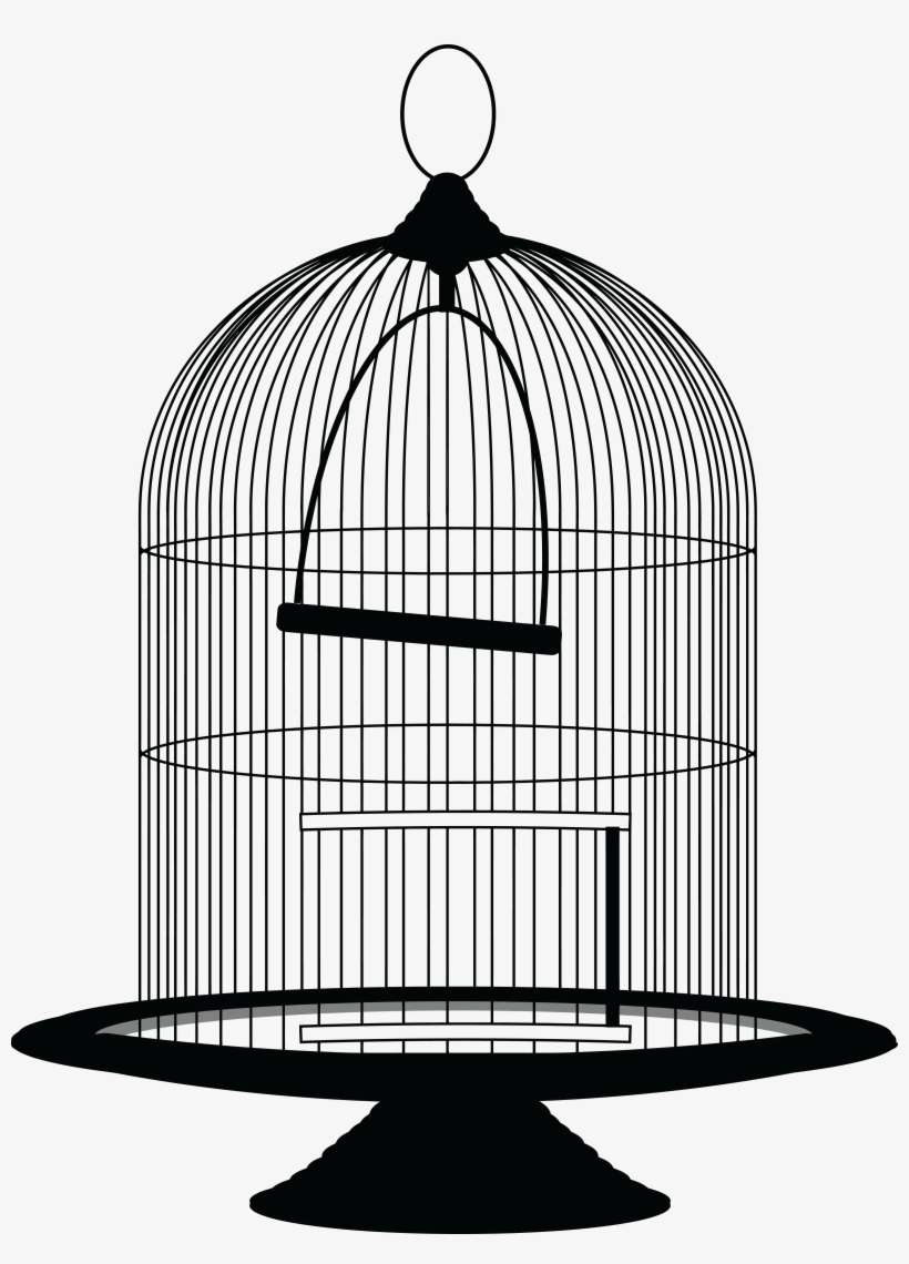 Detail Transparent Cage Nomer 43
