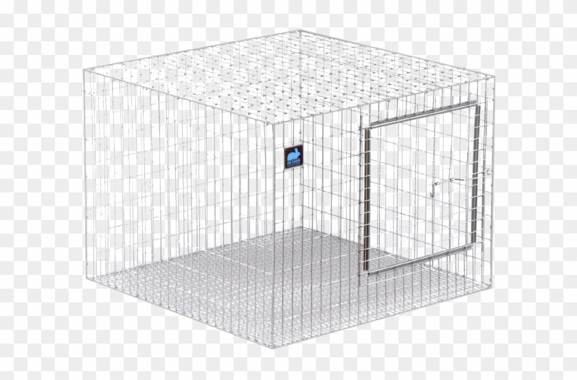 Detail Transparent Cage Nomer 44