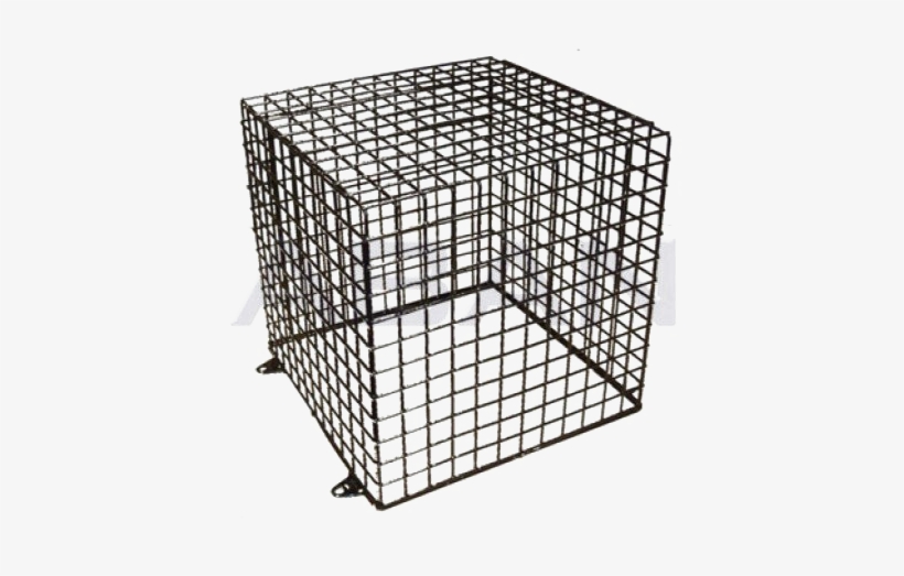Detail Transparent Cage Nomer 45