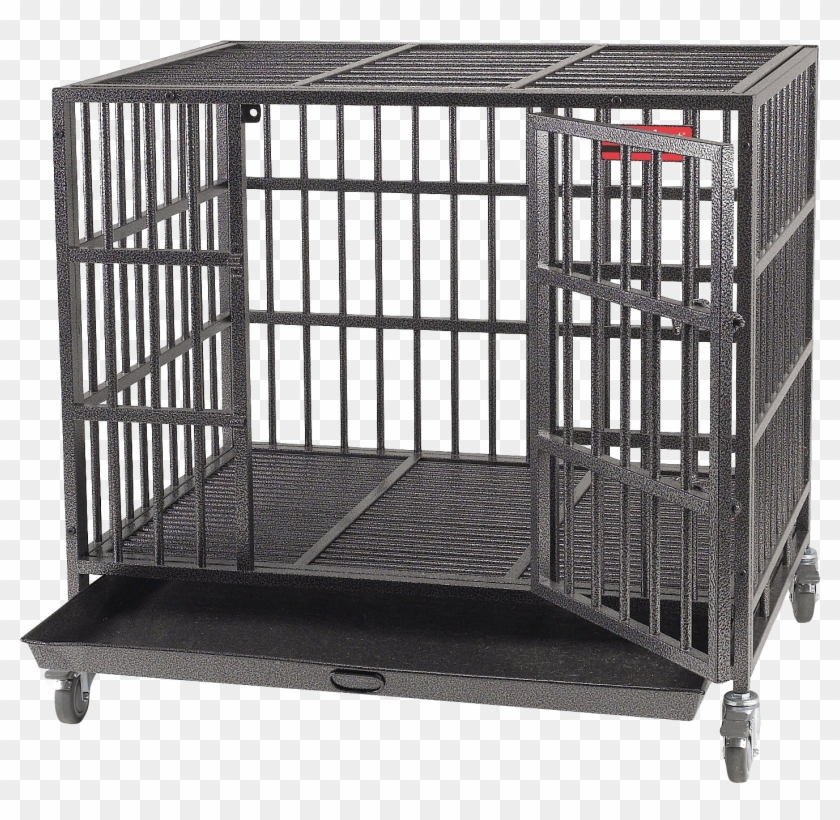 Detail Transparent Cage Nomer 47