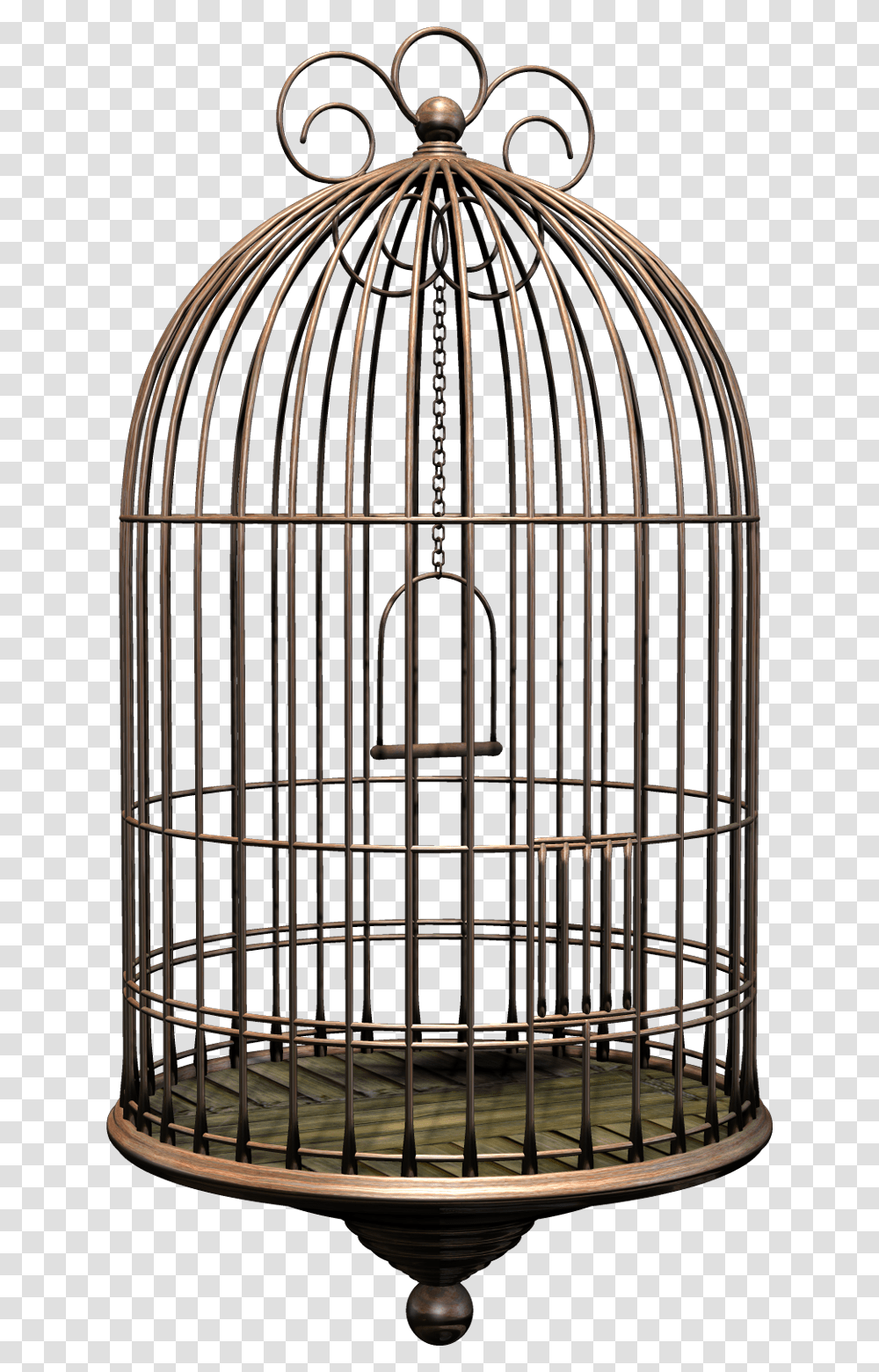 Detail Transparent Cage Nomer 51