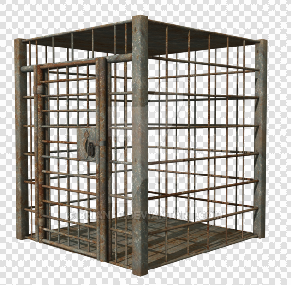 Detail Transparent Cage Nomer 53
