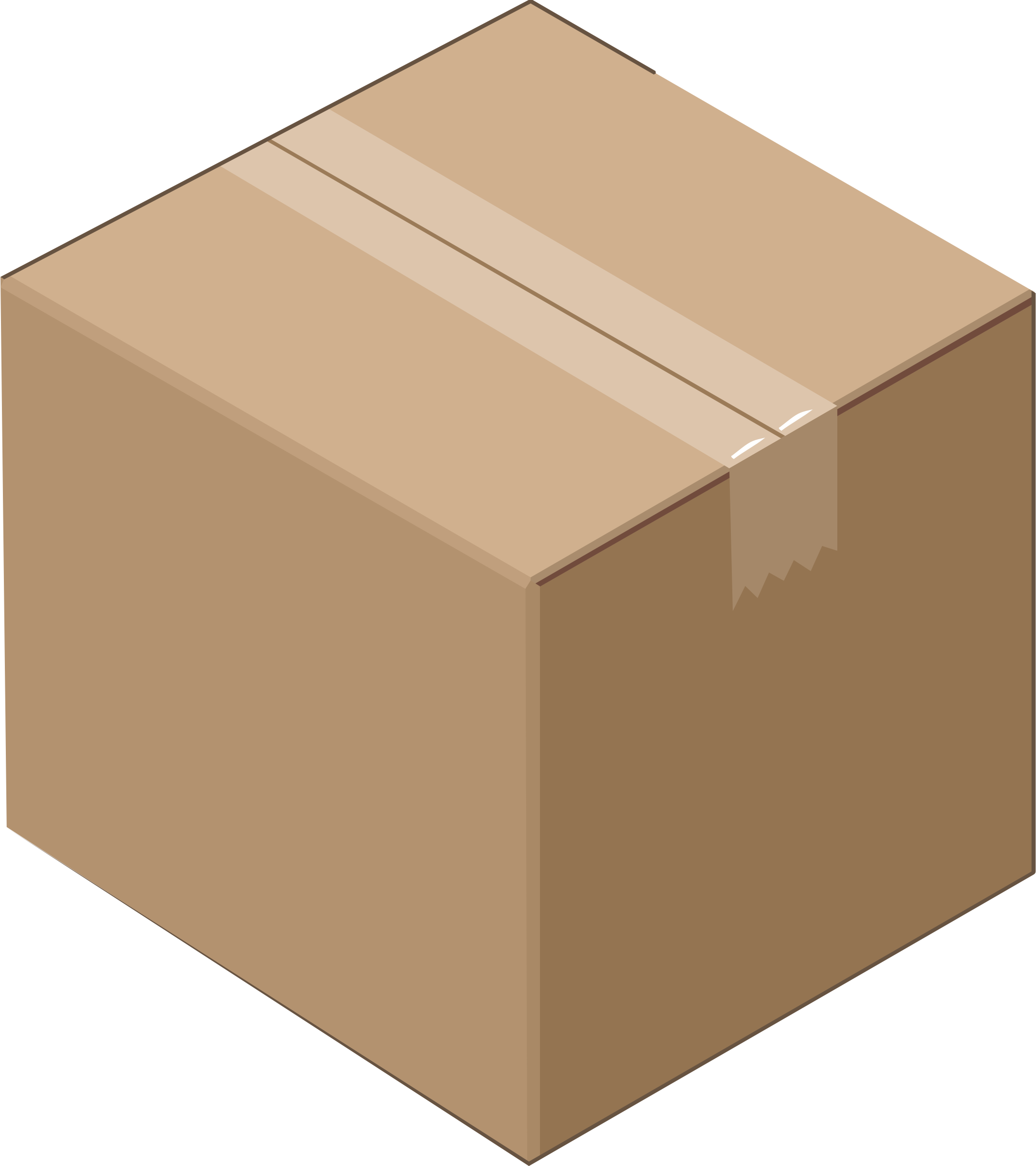 Detail Transparent Cardboard Box Nomer 21