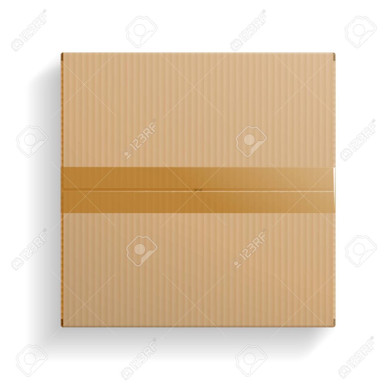 Detail Transparent Cardboard Box Nomer 24