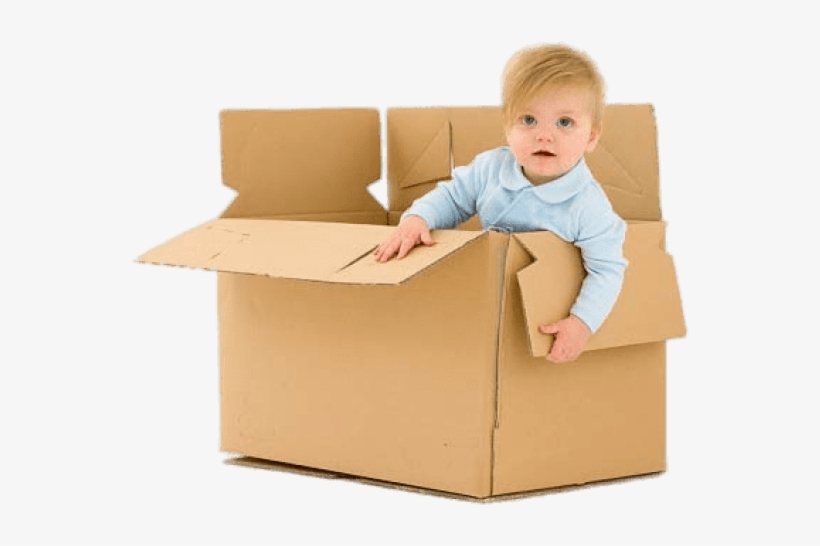 Detail Transparent Cardboard Box Nomer 35