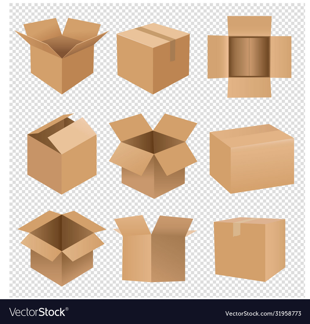 Detail Transparent Cardboard Box Nomer 39