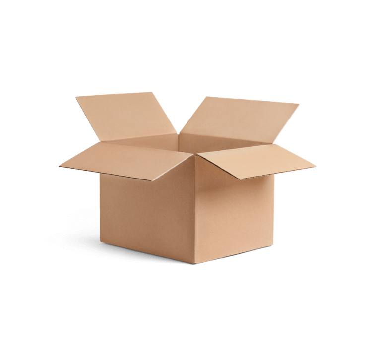 Detail Transparent Cardboard Box Nomer 45