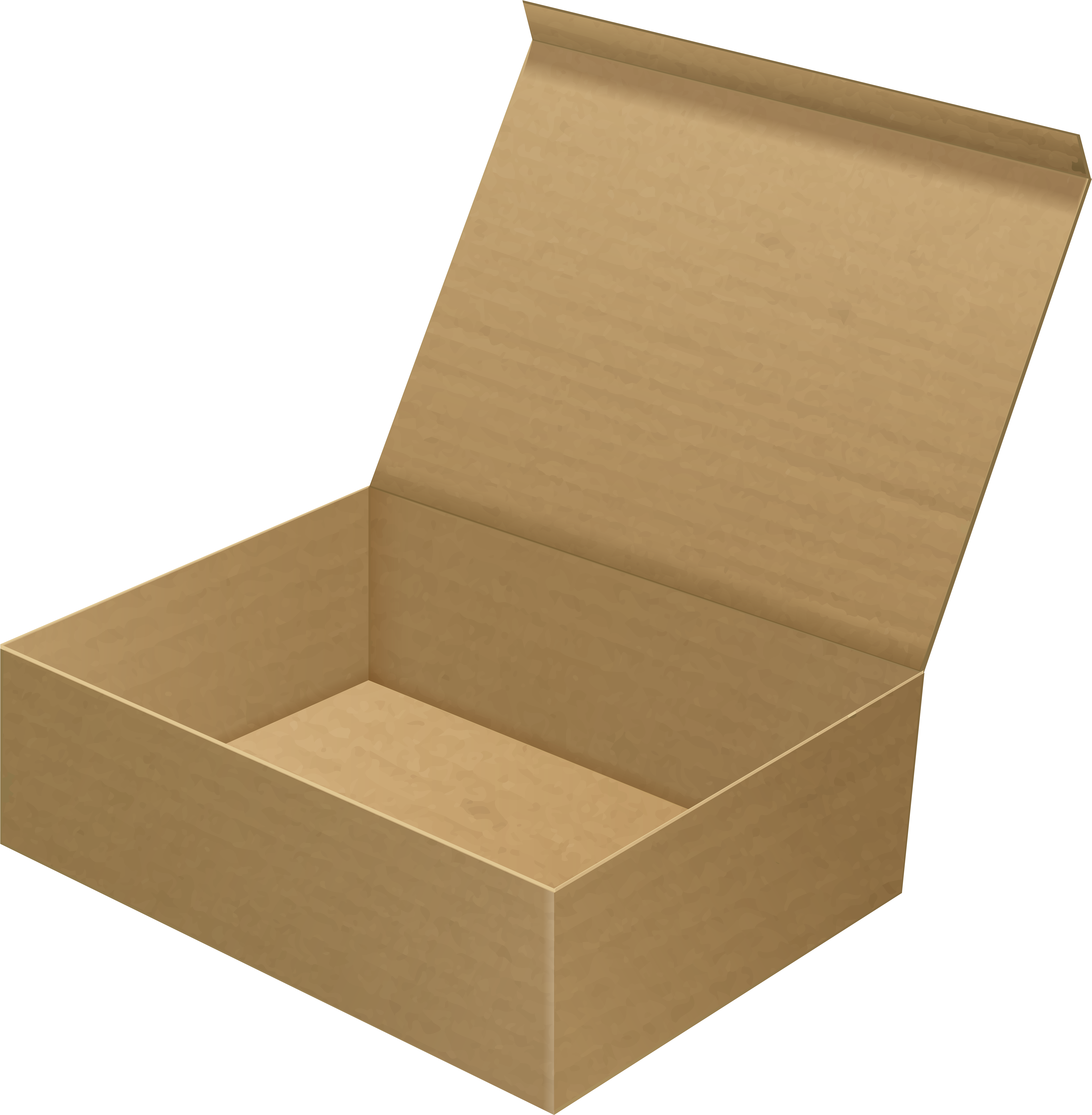 Detail Transparent Cardboard Box Nomer 46