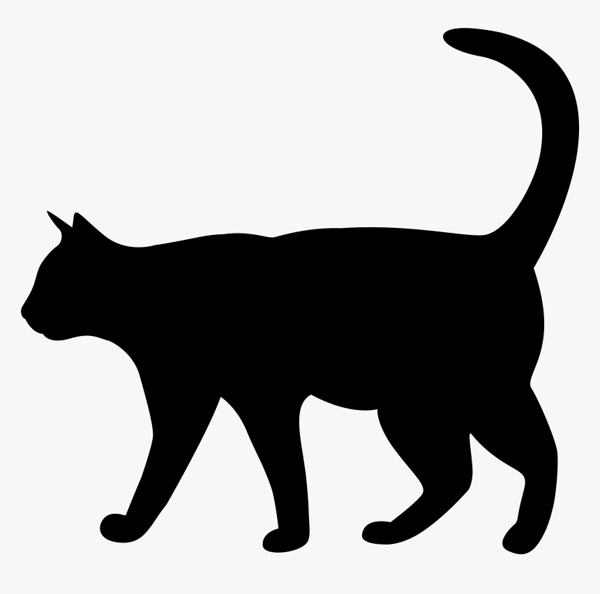 Detail Transparent Cat Clipart Nomer 16