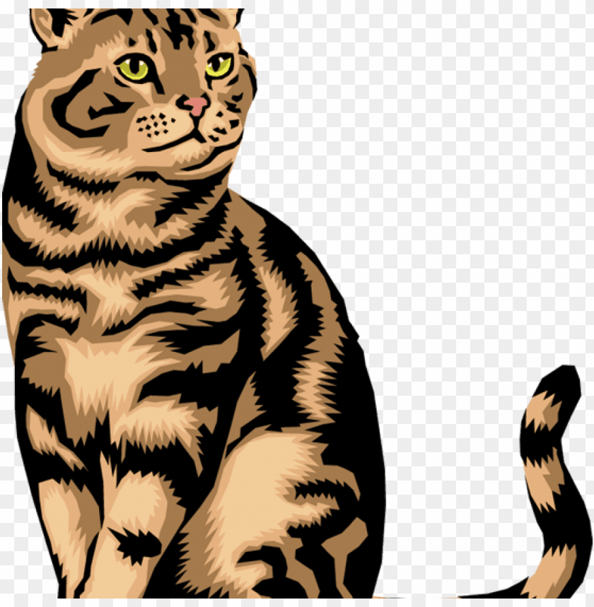 Detail Transparent Cat Clipart Nomer 21