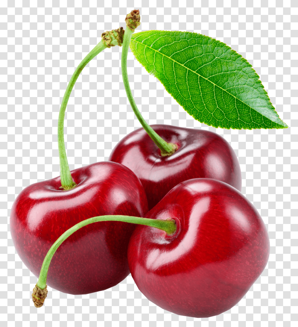 Detail Transparent Cherry Nomer 8