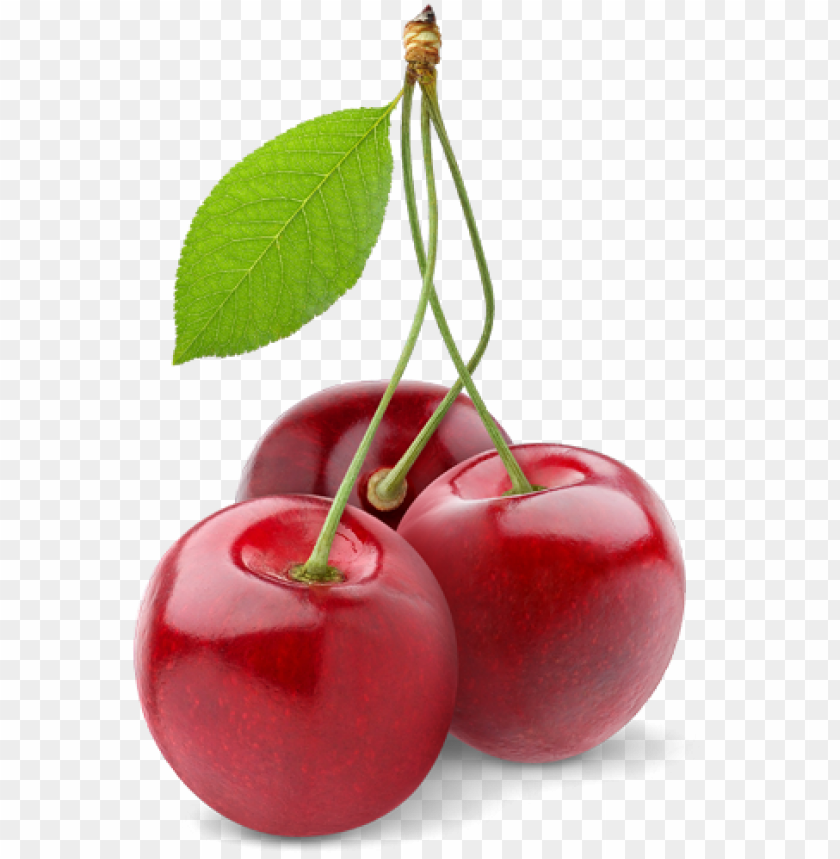 Detail Transparent Cherry Nomer 12