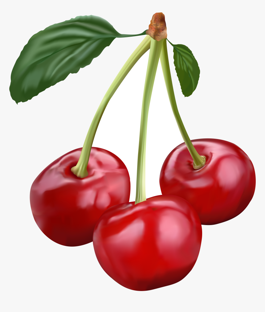 Detail Transparent Cherry Nomer 13