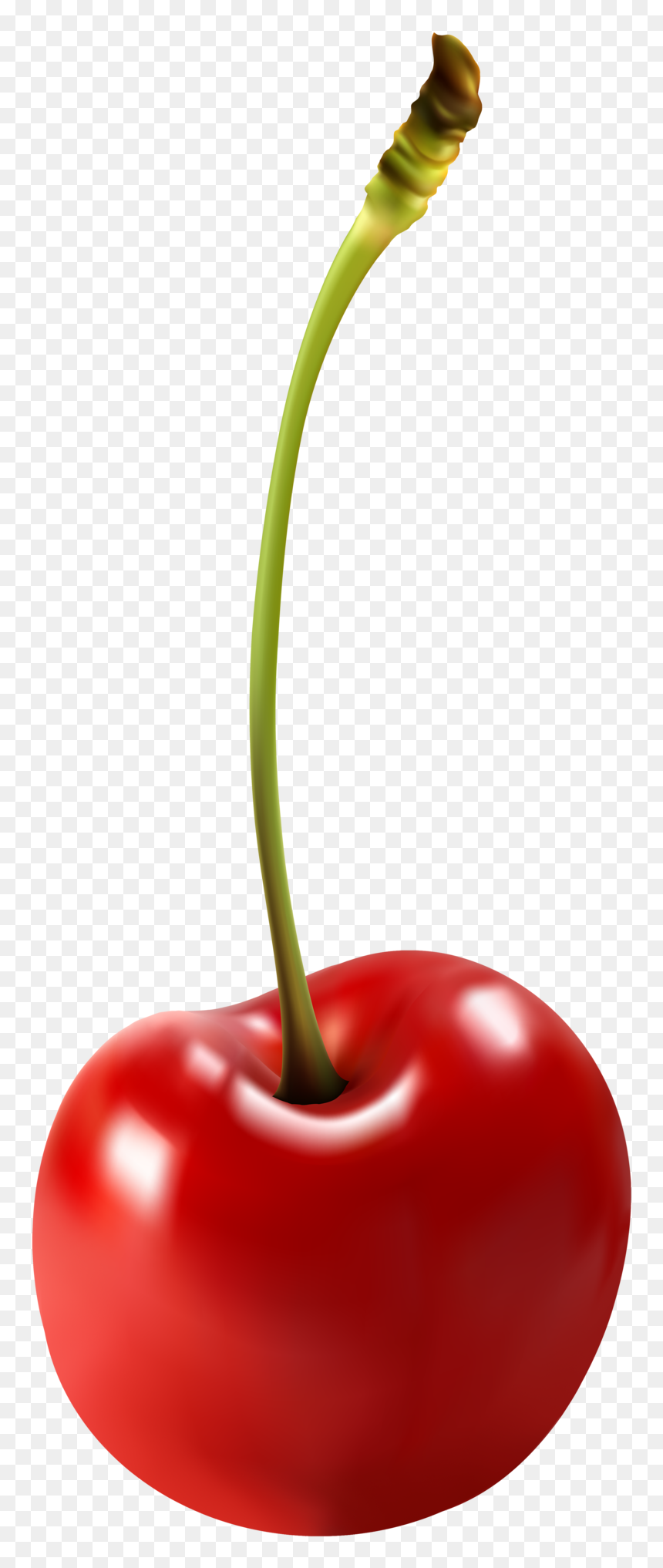 Detail Transparent Cherry Nomer 24