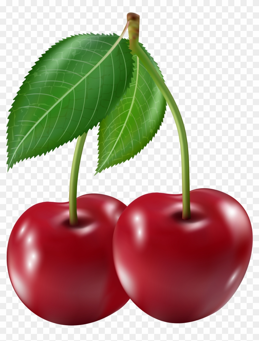 Detail Transparent Cherry Nomer 36