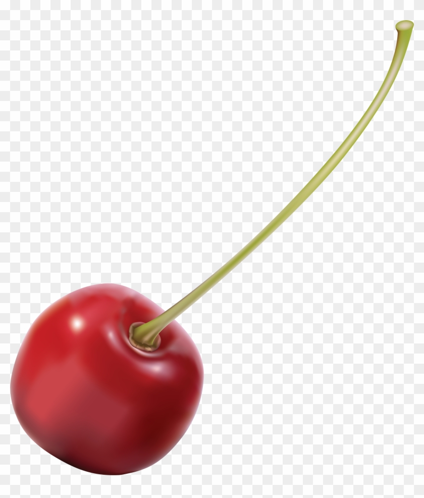 Detail Transparent Cherry Nomer 37