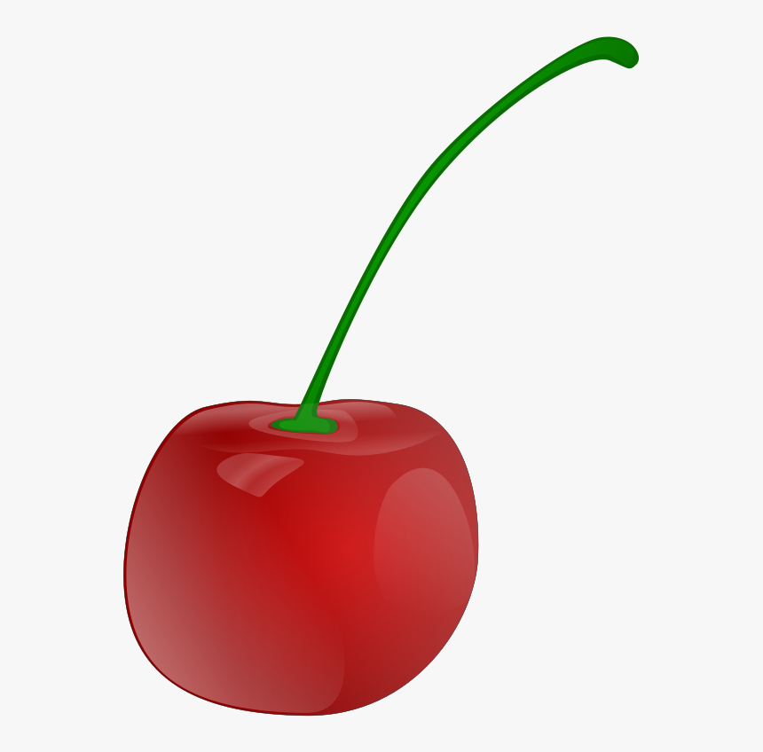 Detail Transparent Cherry Nomer 44
