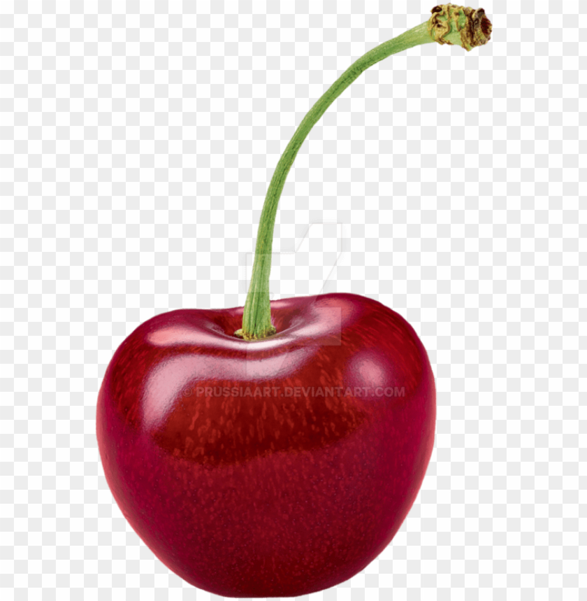 Detail Transparent Cherry Png Nomer 6