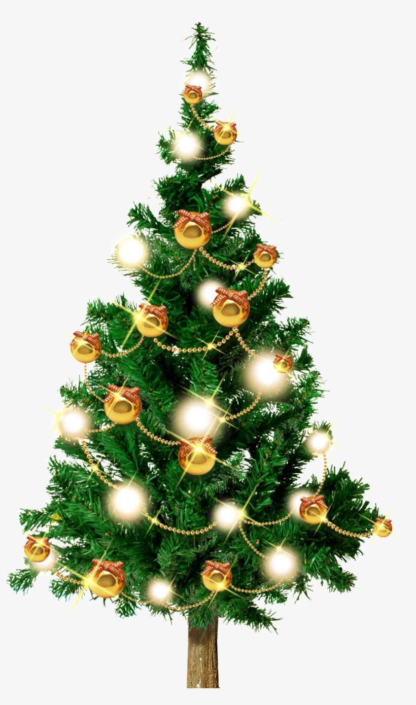 Detail Transparent Christmas Tree Nomer 15