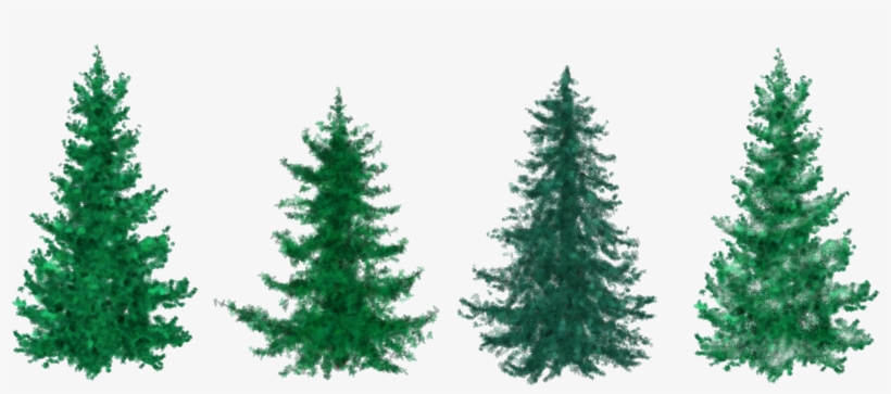 Detail Transparent Christmas Tree Clipart Nomer 20