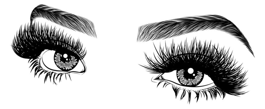 Detail Transparent Clipart Lash Logo Nomer 24