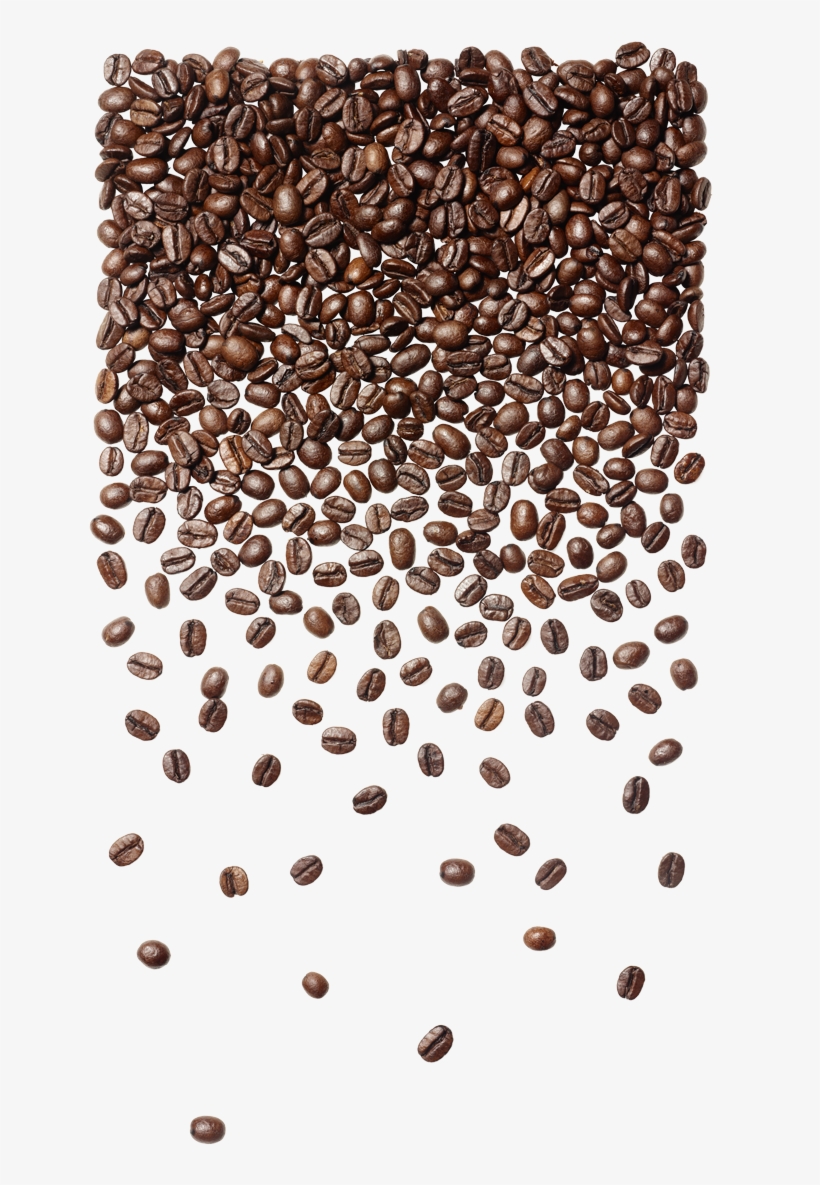 Detail Transparent Coffee Beans Nomer 48