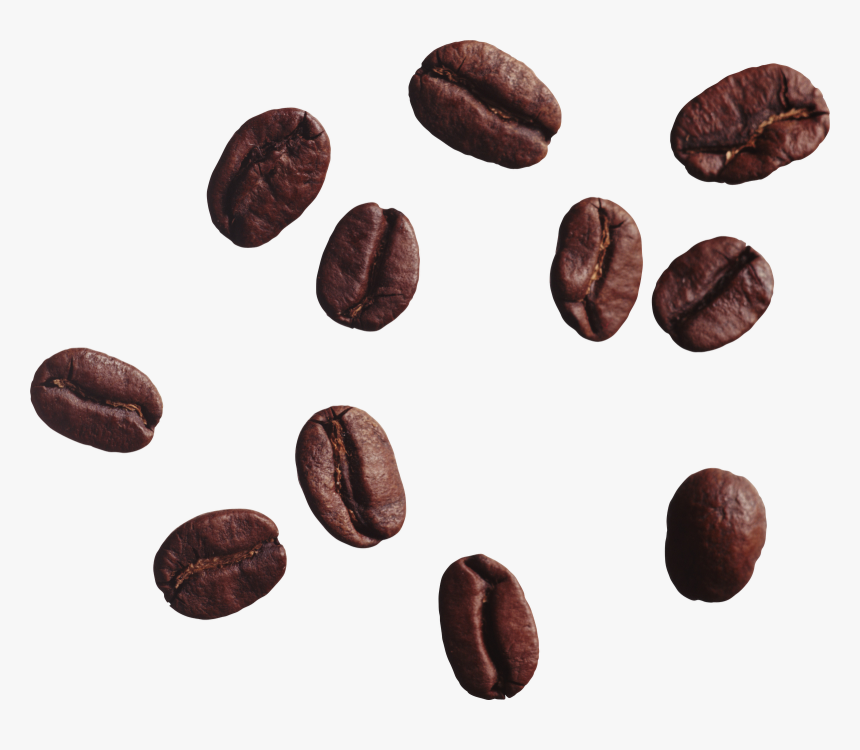 Detail Transparent Coffee Beans Nomer 5