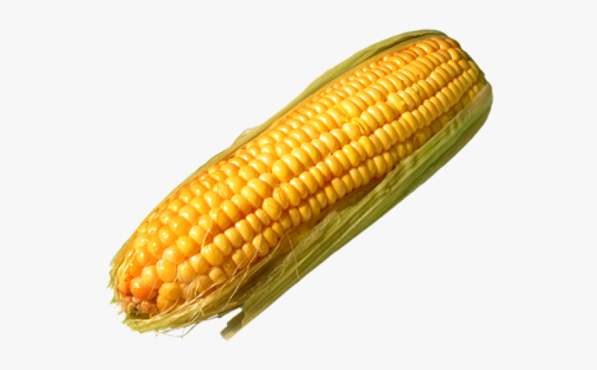 Detail Transparent Corn Nomer 8