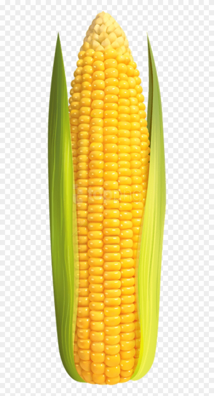 Detail Transparent Corn Nomer 10