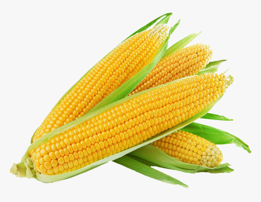 Detail Transparent Corn Nomer 17