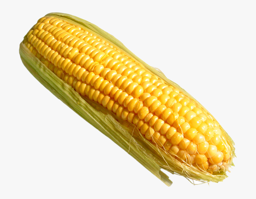 Detail Transparent Corn Nomer 22