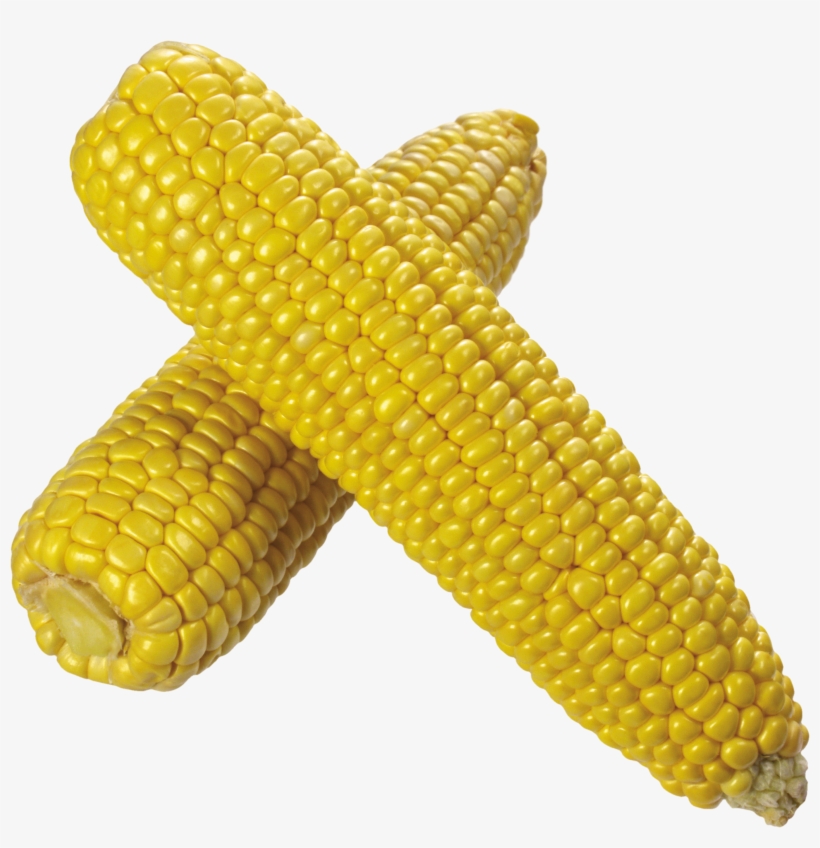 Detail Transparent Corn Nomer 27