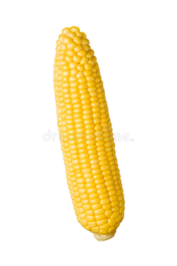 Detail Transparent Corn Nomer 28
