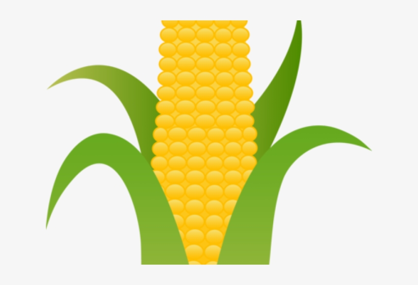 Detail Transparent Corn Nomer 30
