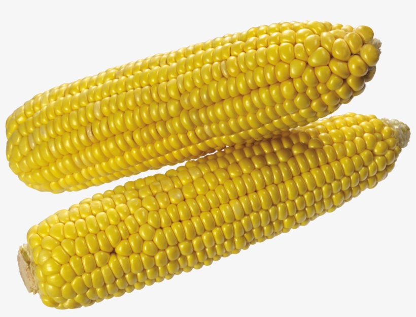Detail Transparent Corn Nomer 33