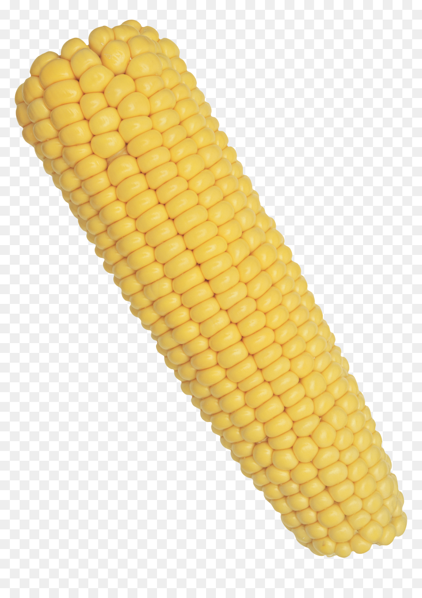 Detail Transparent Corn Nomer 34