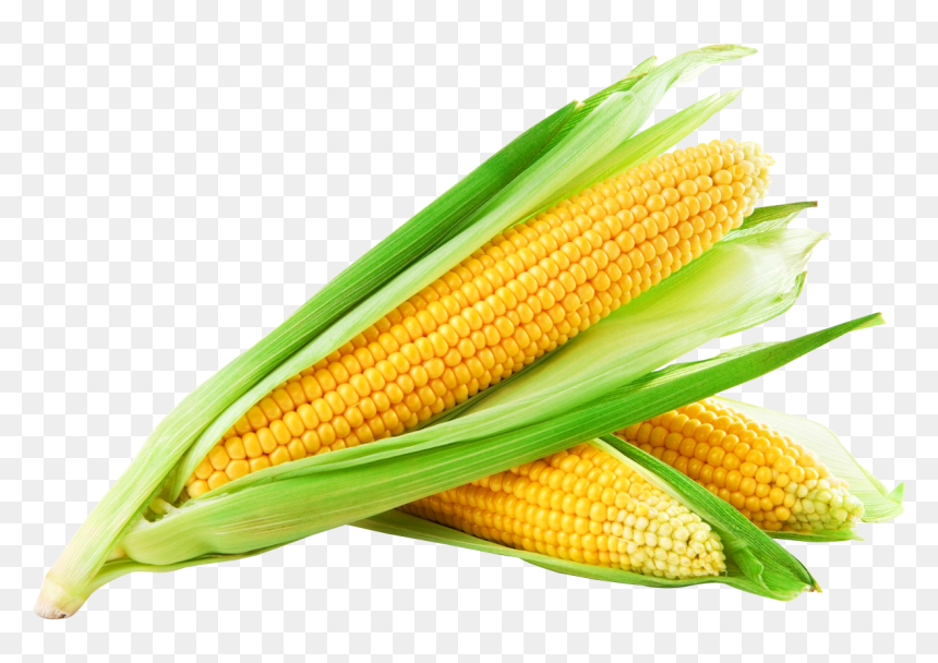 Detail Transparent Corn Nomer 3