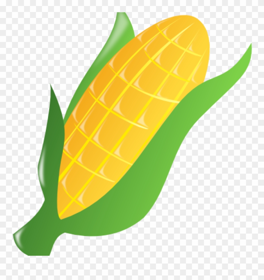 Detail Transparent Corn Nomer 38