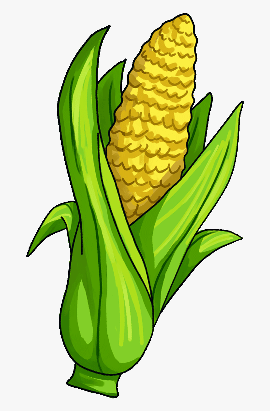 Detail Transparent Corn Nomer 41