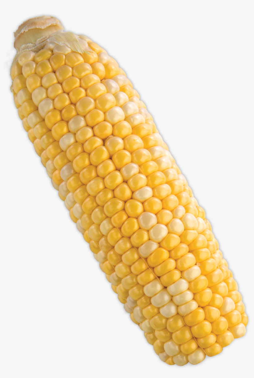 Detail Transparent Corn Nomer 42