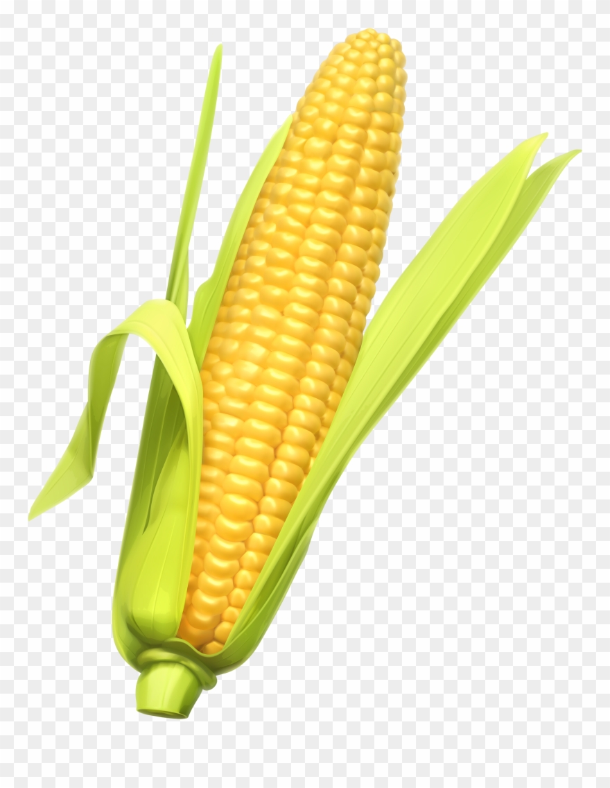 Detail Transparent Corn Nomer 4