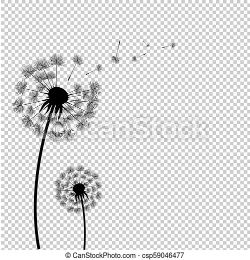 Detail Transparent Dandelion Nomer 43