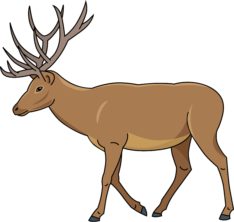 Detail Transparent Deer Nomer 20