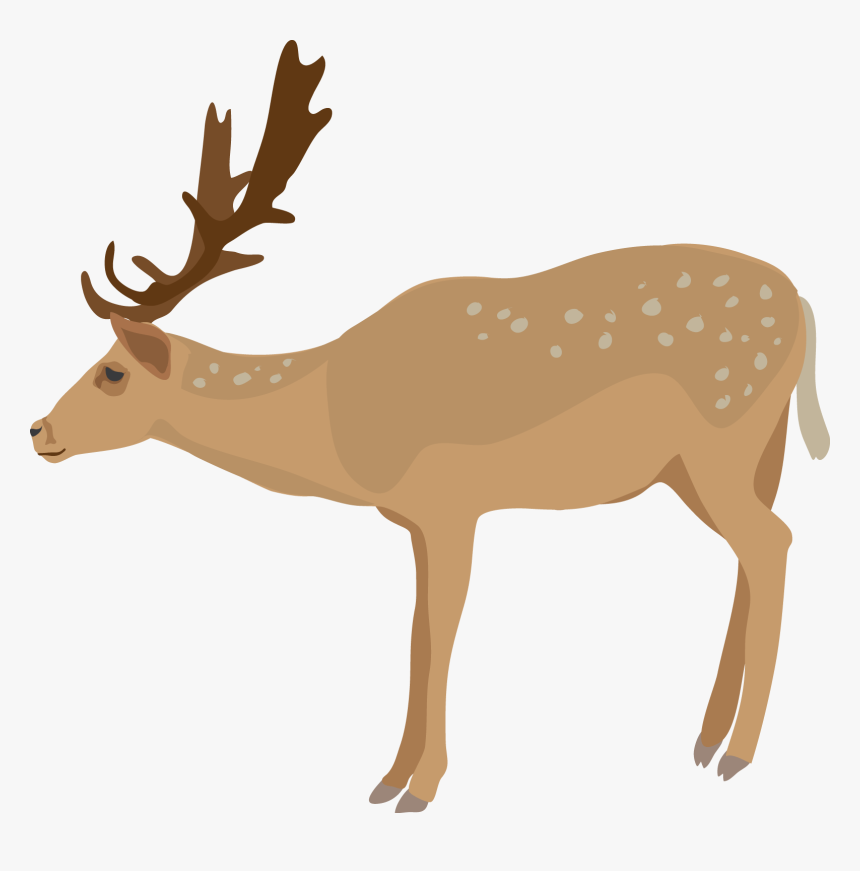Detail Transparent Deer Nomer 21