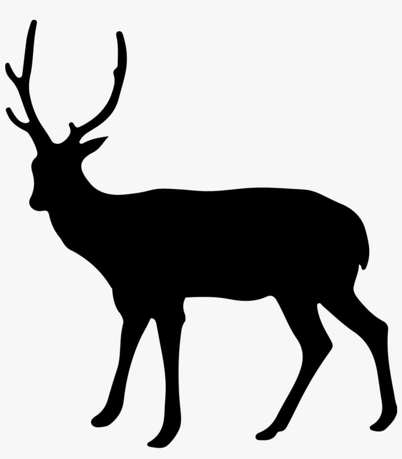 Detail Transparent Deer Nomer 26
